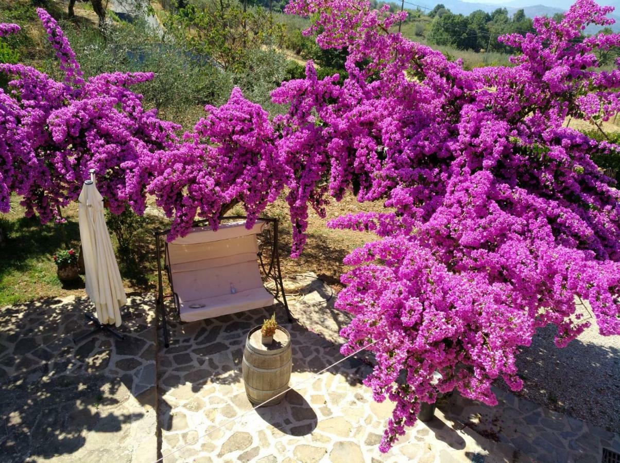 Agriturismo Il Marchese Aquara Bagian luar foto