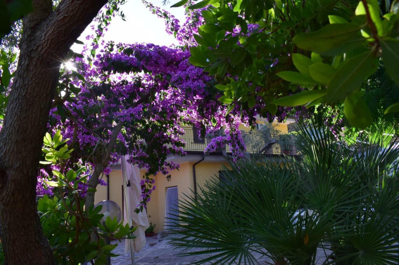 Agriturismo Il Marchese Aquara Bagian luar foto